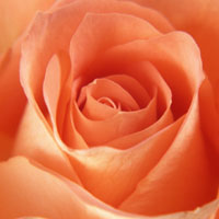 マンション売却10